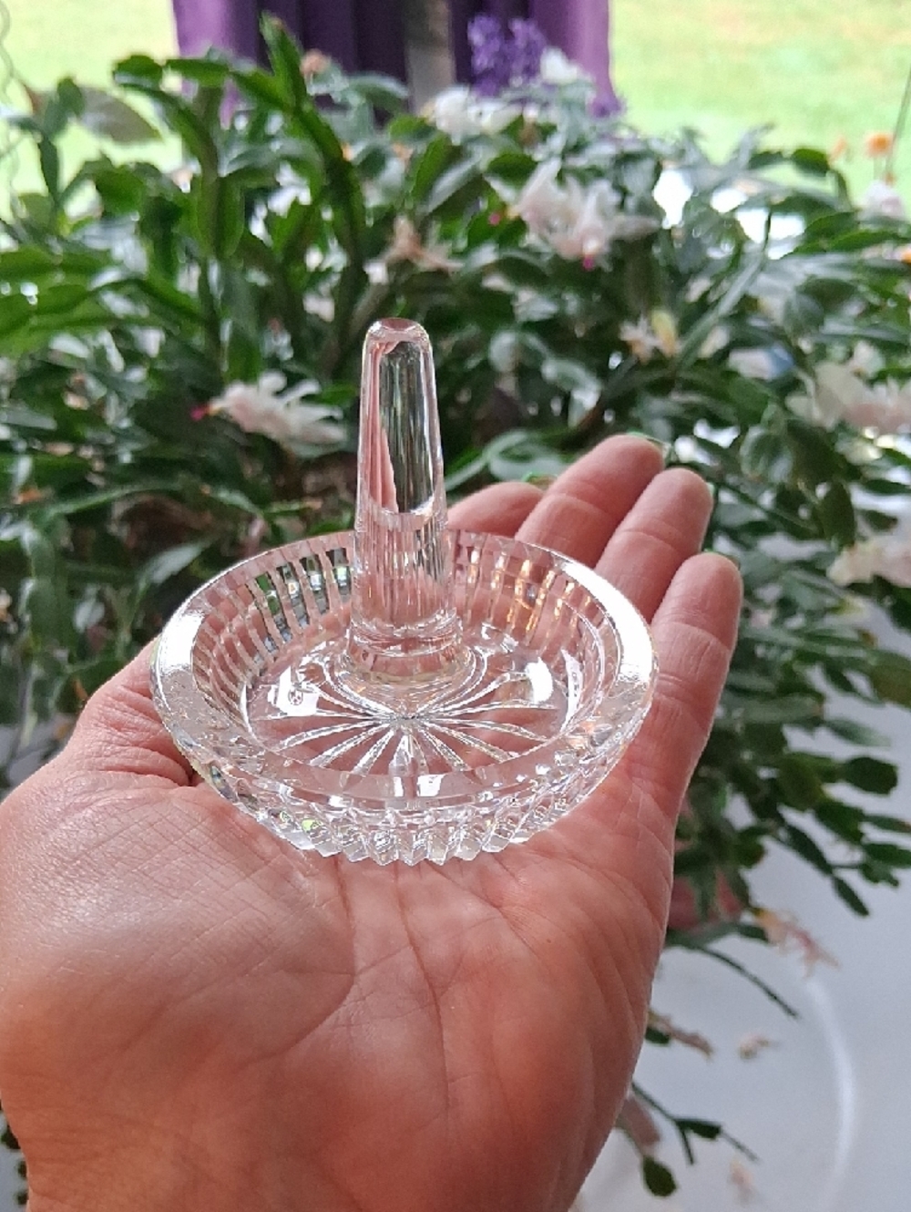 Waterford Clear Crystal Ring Holder with Seahorse Logo Signature - Picture 3 of 4